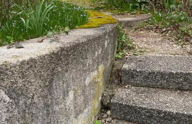 Gemütliche und voll ausgestatette 2 Zimmer Ferienwohnung am Wörthsee mit Terrasse, Grill, Schaukel, Doppelbett oder getrennte Betten fußläufig zu S-Bahn nach München und See, ideal zum Entspannen aber auch zum Arbeiten - Foto 37