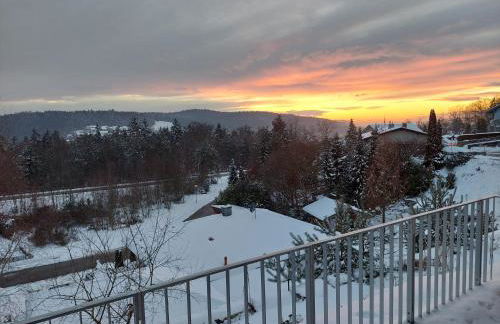 Ferienwohnung Dreiburgenblick - Foto 25