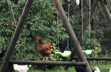 FarmHouse Eckartsberg im Zittauer Gebirge - Gemütliche und moderne Ferienwohnungen mit Terrasse - Foto 36