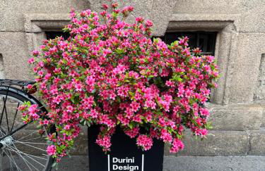 Design District Luxury Apartment - Photo 22