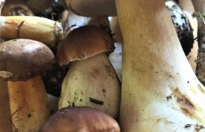 Dom Letniskowy na Kaszubach z podgrzewanym basenem - Foto 22