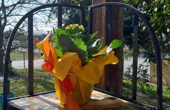 Casa Vacanze Principesca - Foto 4