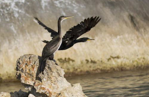 Central in Santa lucia 2BR-1BA - Foto 2