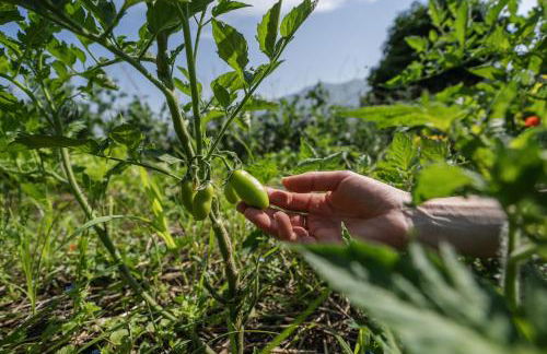 Villa Aurora - Foto 65