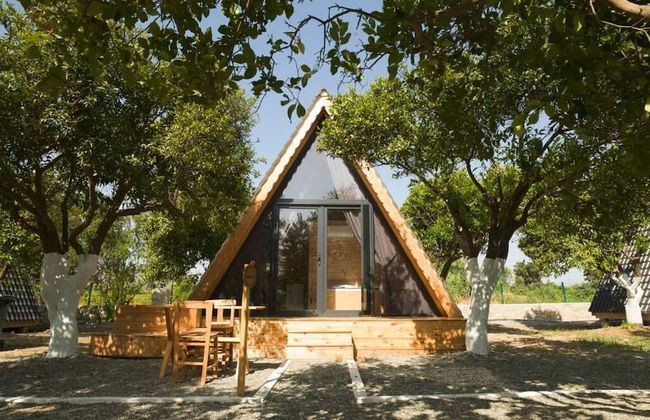 Limon Datca - Foto 1