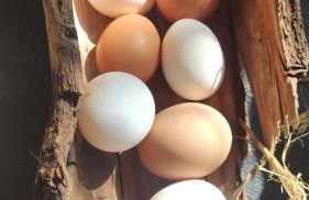 Etna Rural Cottage with Jacuzzi - Foto 25