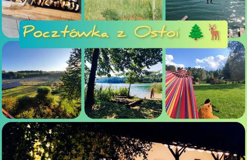 Cały dom na wyłączność - Ostoja Leśna Cisza - Foto 5