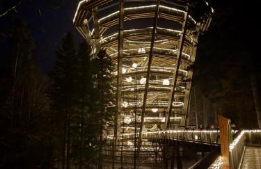 Bollenhut 1 - Foto 11