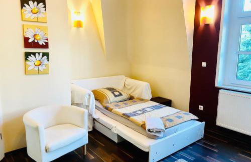 Riesige FeWo in Villa - 3 Schlafzimmer, 2 Bäder, Chemnitz - Foto 3