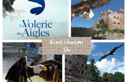 Le Hygge Chalet Gérardmer-Spa - Foto 62