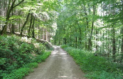 Ferienwohnung zur Mühle - Foto 73