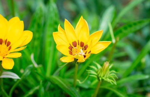 APPARTAMENTI LE GINESTRE 10 - Foto 15