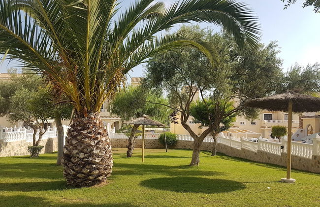 Globus Gran Alacant - Foto 23