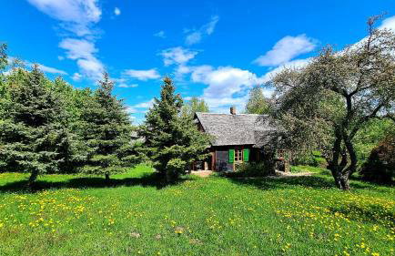 Cisowe Wzgórze - Foto 15