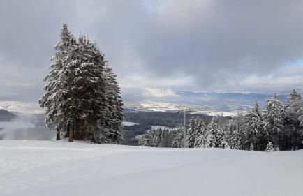 Ferien im Kühbergstadl - Foto 35