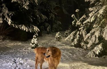 Pod Kogutem i Sową - Bio Wioska z domkami Premium w góralskim stylu VIP - Foto 12