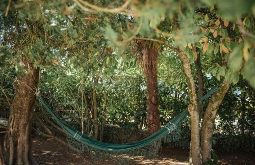 Casa de Marlães - Foto 6