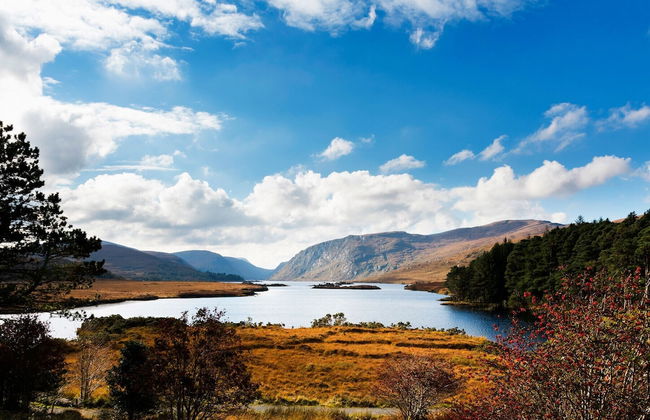 Mary Naoise Holiday Home - Foto 21