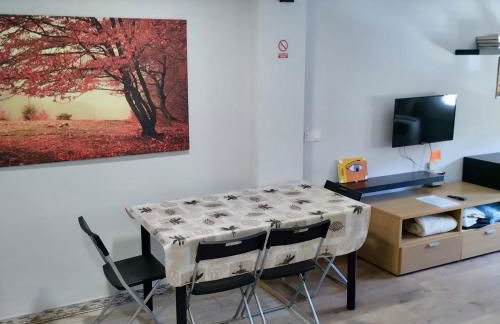 Apartamentos FULL EQUIPPED - Foto 28