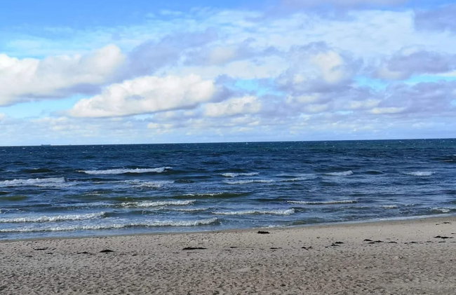 4 Person Holiday Home in Frederiksvaerk - Foto 31