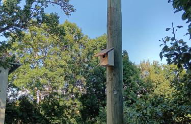 Gîte du Tilleul - Foto 32