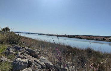 Les pieds dans l'eau aux Mers du Sud - Gruissan Les Ayguades - Foto 15