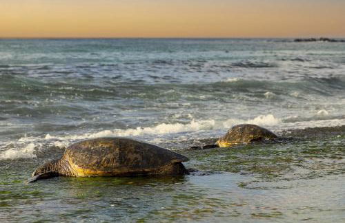 Sea Turtle Ranch 4 Bedroom Home by RedAwning - Foto 54