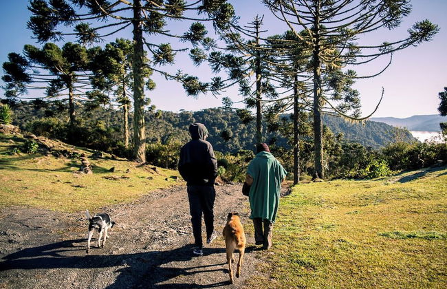 Sítio Mar de Nuvens Chalés de Luxo - Photo 69