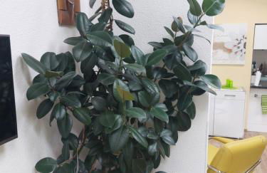 Ferienhaus in Bernau bei Berlin - Foto 2