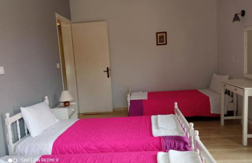 Angelik Ipsos no1 - Photo 5