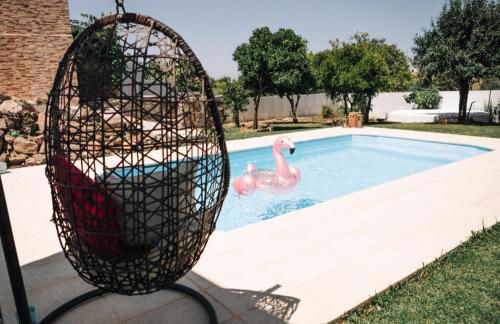 Quintinha do Quintas - Foto 3