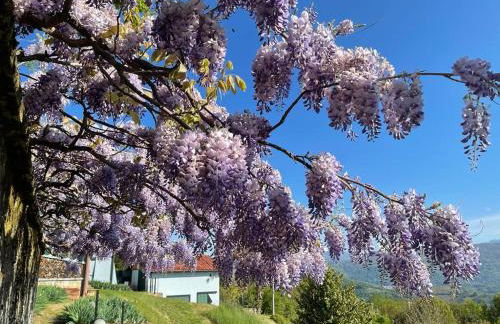 THE MONTEVECCHIA HOME - FRIDA APARTMENT - Foto 9