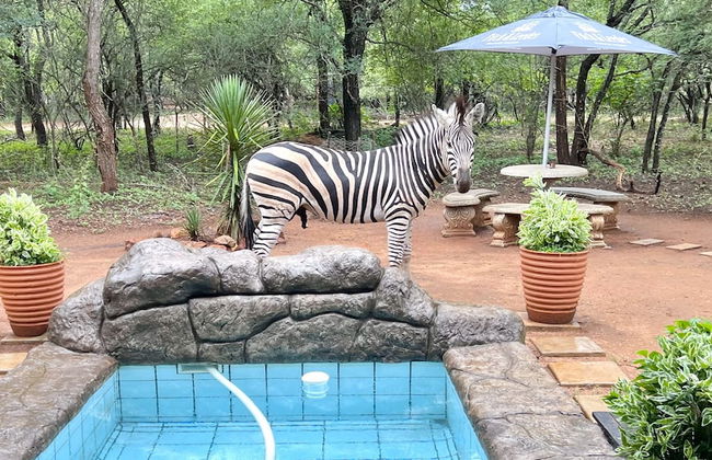 Kruger Kumba - Mugwenzi - Photo 37