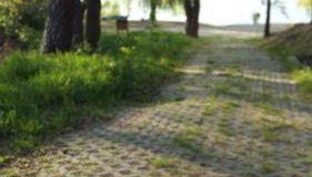 Natur-Freude-19p - Foto 2