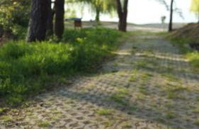 Natur-Freude-19p - Foto 2