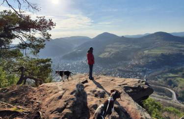 Pfalztraum Fewo's - Foto 32