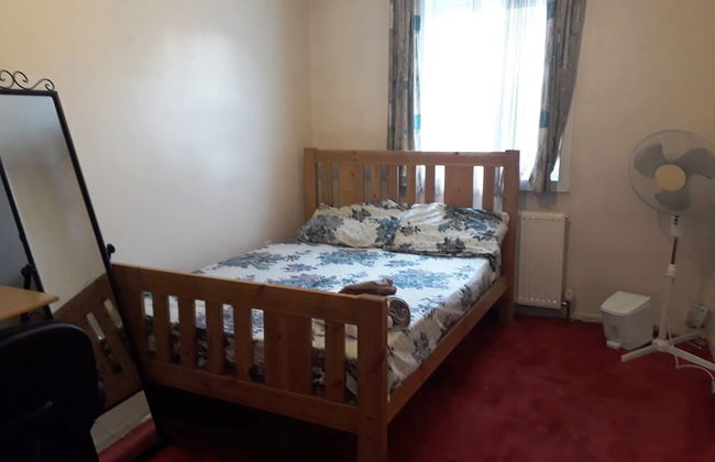 House with a garden in Arnos Grove - Foto 3