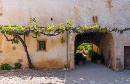 Fangar Agroturismo - Foto 52