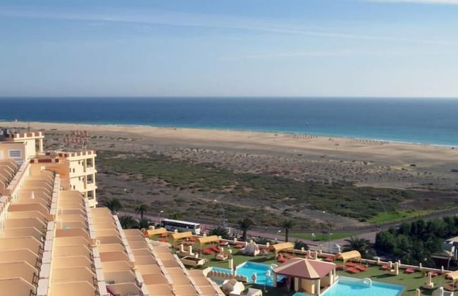 Palm Garden Apartments - Photo 36