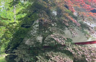 Studio Gościnne ANTEK - Foto 15