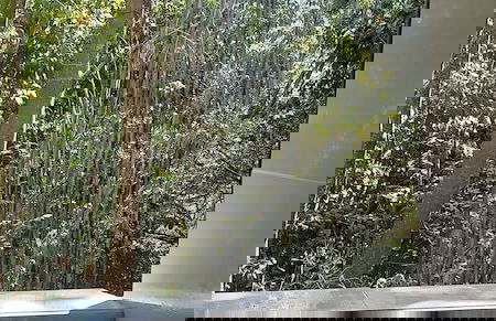 Skale peregrino ecolodge - Foto 12