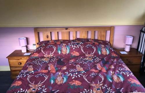 Poplar Lodge, Dee Valley Stays - cosy microlodge with detached private shower & WC - Photo 20