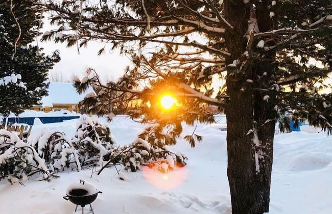 Arctic Resort Delight - Foto 24