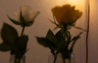 Altstadtsuite Landsberg am Lech - Foto 23