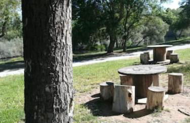 EL DESVÁN - Foto 19