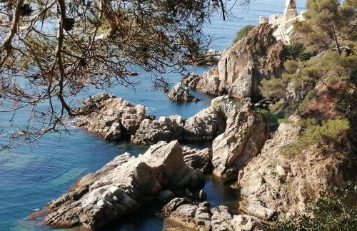 Apartment with garden and sea view Santa Cristina Blanes - Foto 70