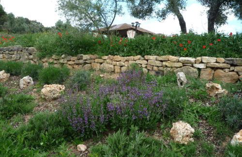 Hort de L'Aubert - Foto 25