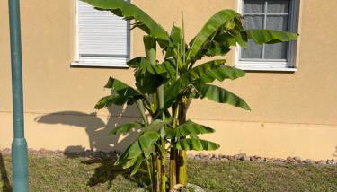 Ferienwohnung Happy - Foto 3