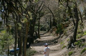 Majestic Log A Frame by Lake, Loft & Deck - Foto 42