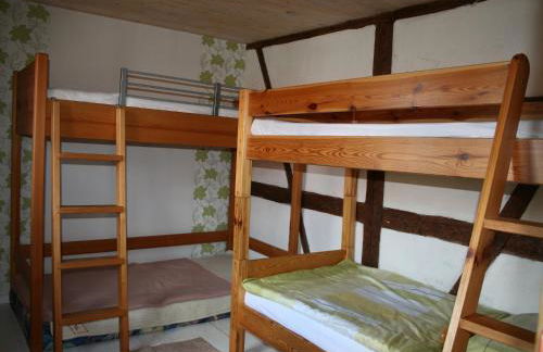 Pferd - Spaß - Entspannung - Foto 27